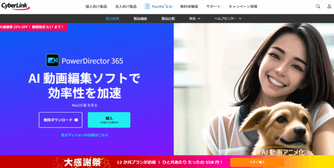 Power Director