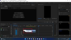 premiere pro2