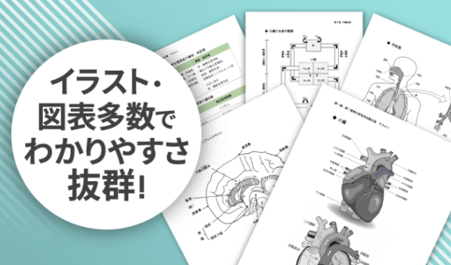 アガルートのわかりやすい図表・イラスト